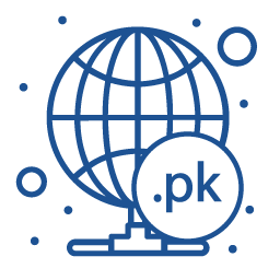 pk-domain-registration-2.png