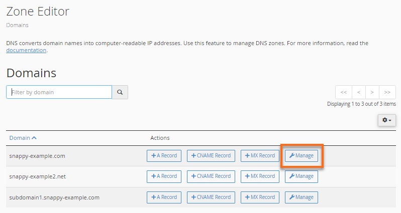 domain panel CNAME record