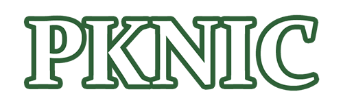 .PK Domain to a Specific IP or Server